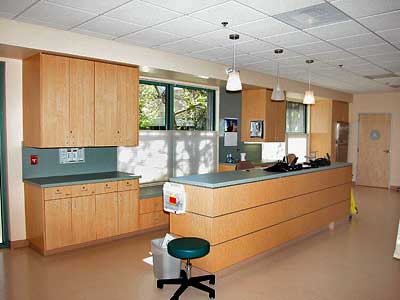 Custom Cabinets
